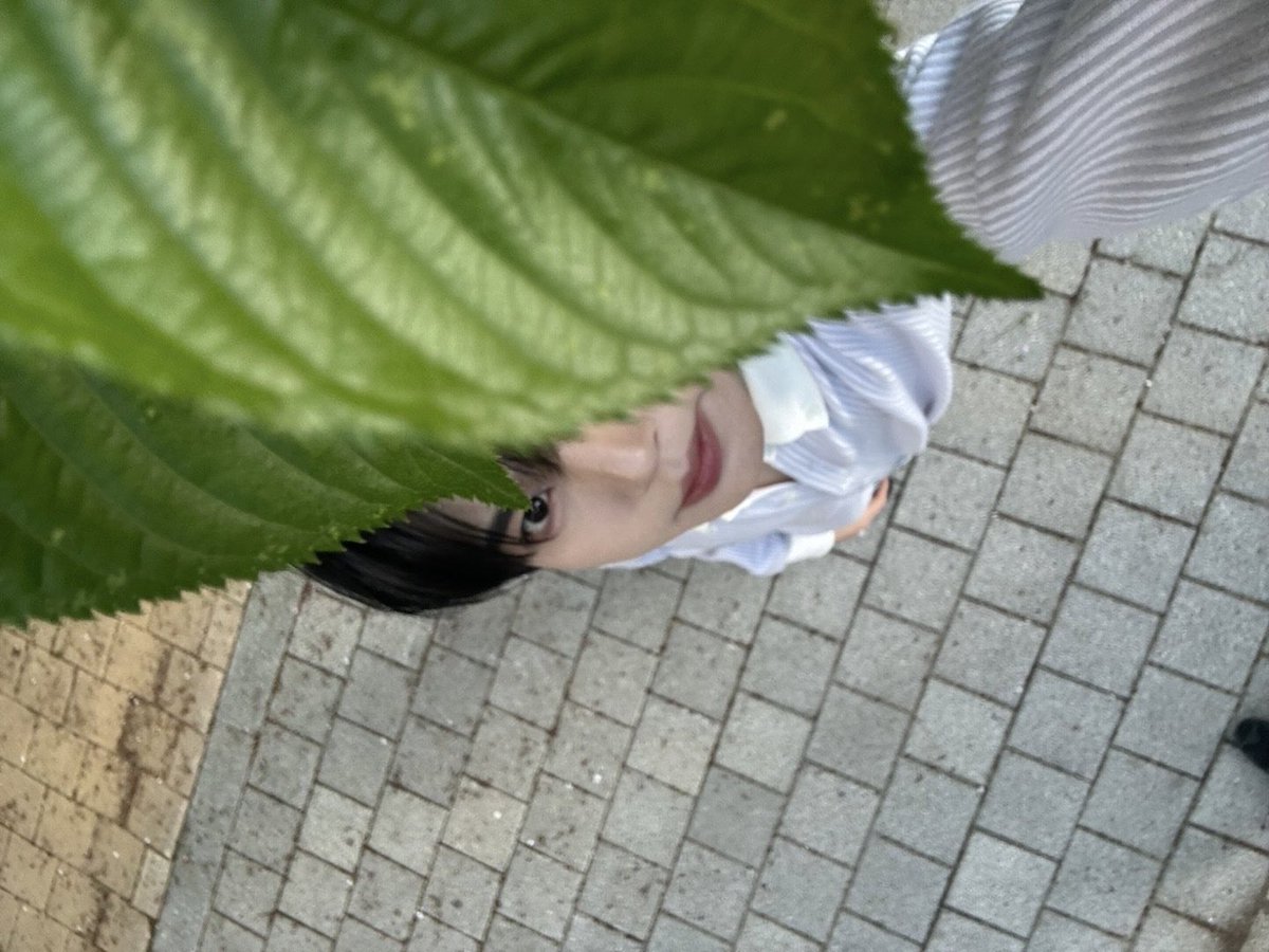 han yujin pics tweet media