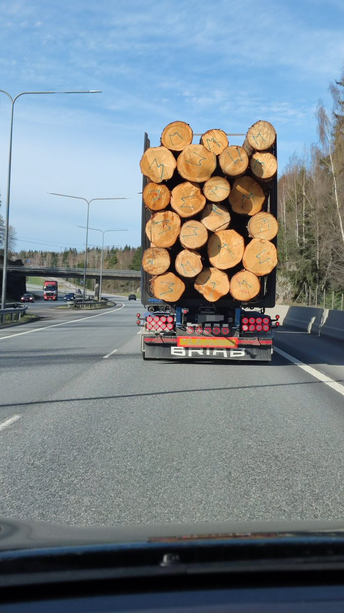 Vielä näkee edes tien päällä vanhoja puunrunkoja menossa jonnekin 😭. On se niin edesvastuutonta ettei näitä viimeisiä vanhoja metsiä voida säästää tuleville sukupolville.