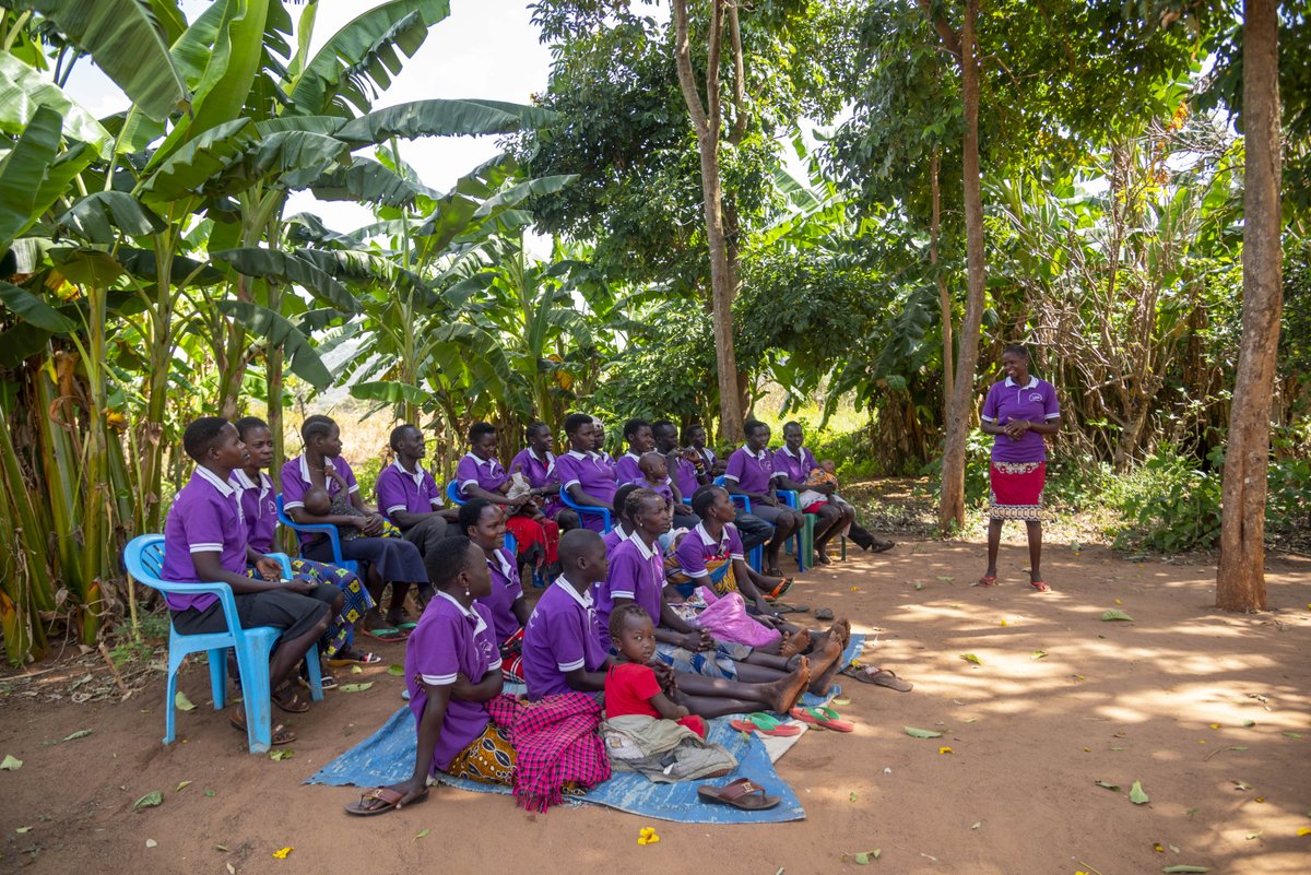 GOAL Global (@goal_global) on Twitter photo 💪 From savings group to agribusiness success, meet Jackie Akech, a young entrepreneur in Uganda leading her peers to economic empowerment through GOAL’s #MarketsForYouth programme, supported by <a href="/MastercardFdn/">Mastercard Foundation</a>. 🌱🚜
Read her story here: tinyurl.com/2623dy7z 💪 From savings group to agribusiness success, meet Jackie Akech, a young entrepreneur in Uganda leading her peers to economic empowerment through GOAL’s #MarketsForYouth programme, supported by <a href="/MastercardFdn/">Mastercard Foundation</a>. 🌱🚜
Read her story here: tinyurl.com/2623dy7z
