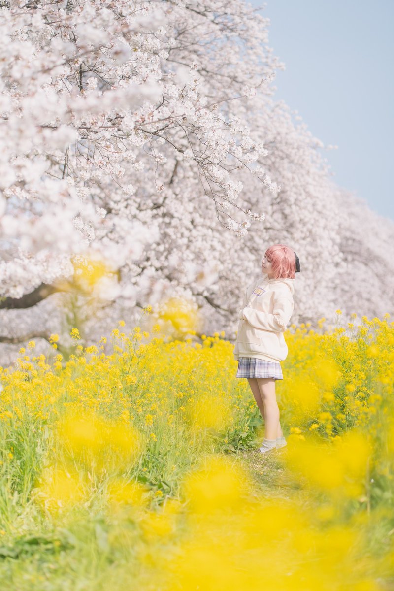 sara.∗̥✩⁺˚ tweet media