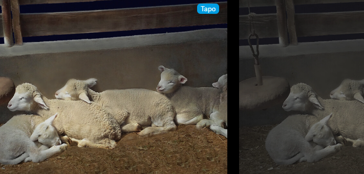 Pourquoi opter pour une caméra avec vision nocturne en couleurs ?
tp-link.com/fr/blog/1961/p…

#caméra #vidéosurveillance #tapo #sécurité #maison #domotique #tplink