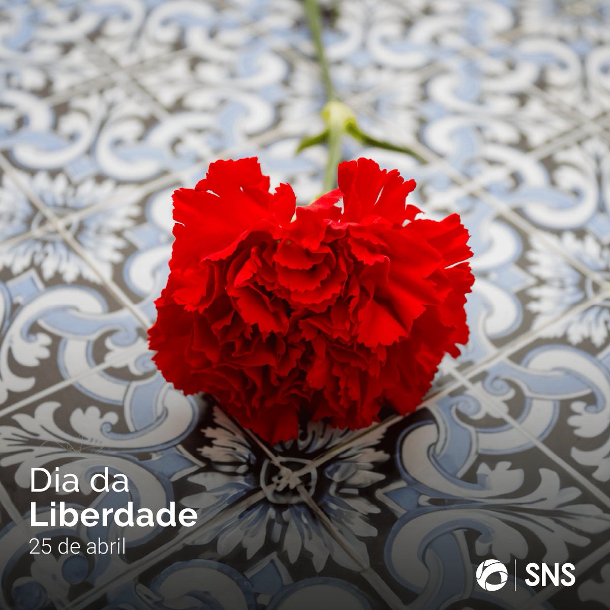 A Revolução dos Cravos: vamos celebrar a liberdade e as conquistas que Portugal fez até à atualidade, preservando a paz e a igualdade. O nascimento do SNS, em 1979, é uma destas conquistas. Feliz 25 de abril! #Saúde #SNS #25deabril #Liberdade