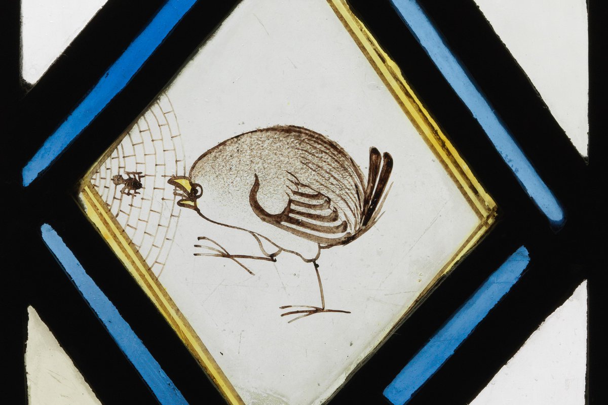 🪽Have you noticed the angels that adorn the Quire, suspended from intricate carvings beneath the organ?
🐭Have you found any adorable wooden mice, carved by Robert 'mousey' Thompson?
🐦 Have you spotted our tiny wren, chasing a spider through a 15th century stained glass window?