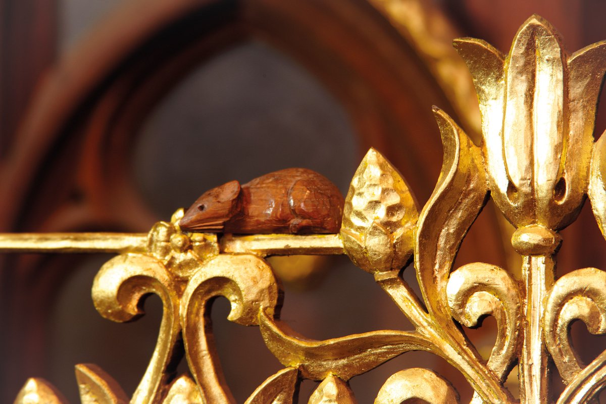 York_Minster's tweet photo. 🪽Have you noticed the angels that adorn the Quire, suspended from intricate carvings beneath the organ?
🐭Have you found any adorable wooden mice, carved by Robert 'mousey' Thompson?
🐦 Have you spotted our tiny wren, chasing a spider through a 15th century stained glass window? https://t.co/nYzLZwdi2N