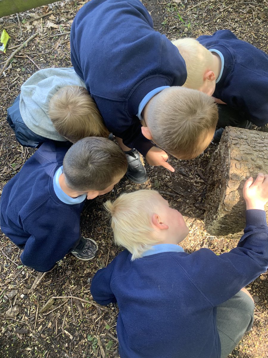 EmmaAshcroft5's tweet photo. Looking what’s new in school forest after the holidays #gpsearlyyears https://t.co/WaxuRkUYsI
