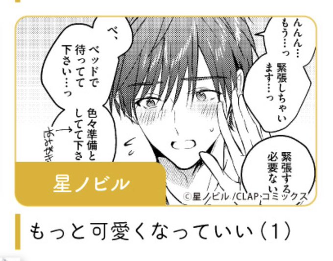 星ノビル先生 まとめ売り 記念フェア 「もっと可愛くなっていい」で特典小冊子に1P参加させて頂