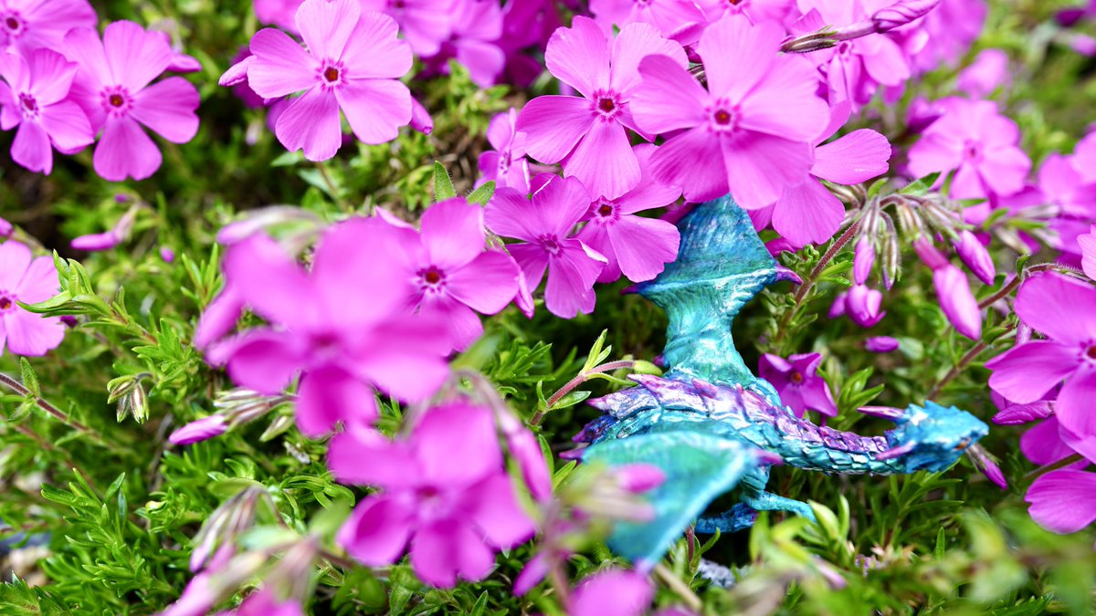 #ドラゴンの日 #ドラゴン #フィギュア