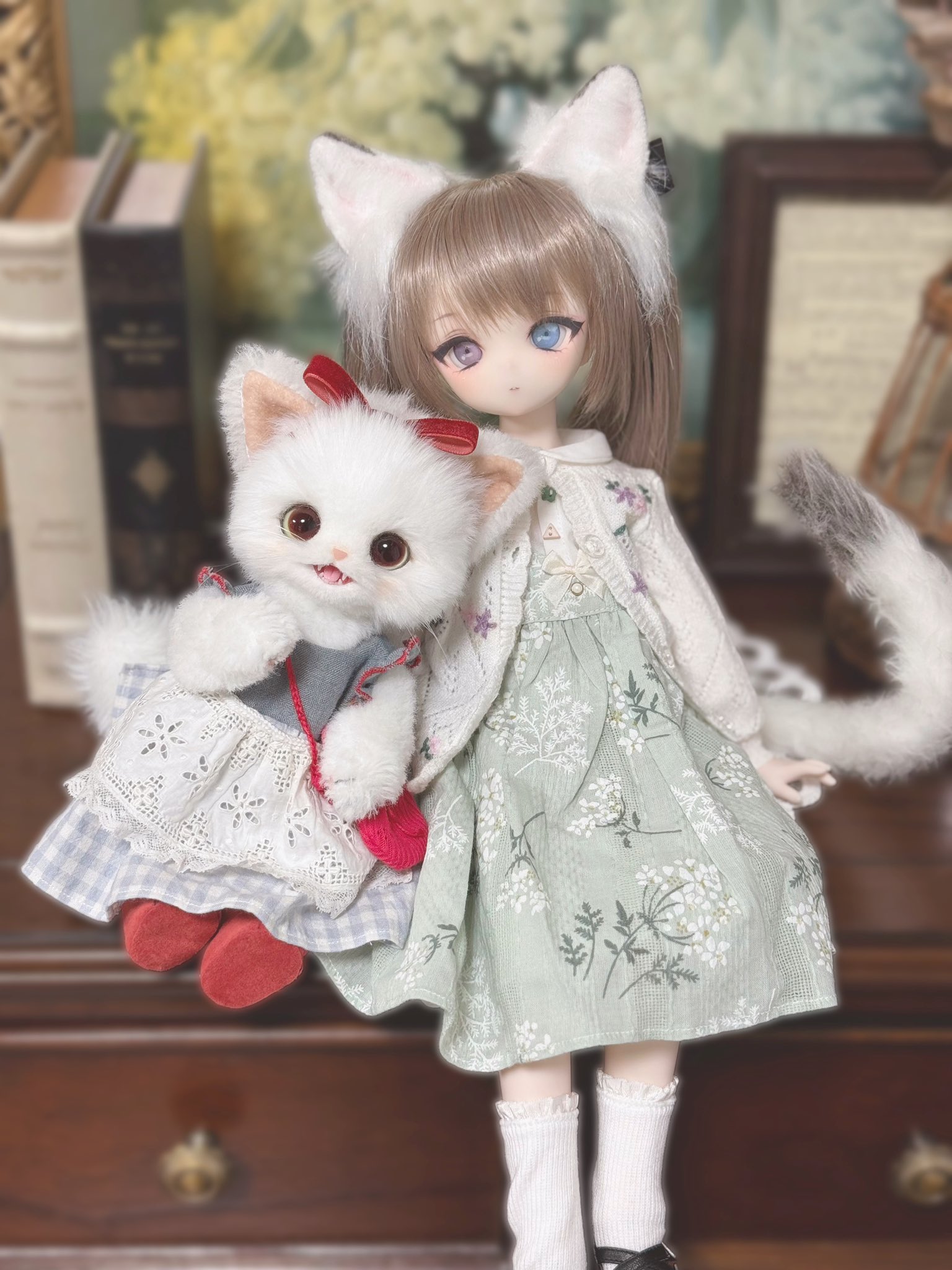 ふにゃほわ໒꒱ ̖́-6/29ふにゃ研名古屋✦ (@mokyu_skn) / X ふにゃほわ໒꒱ ̖́-6/29ふにゃ研名古屋✦ (@mokyu_skn) / X