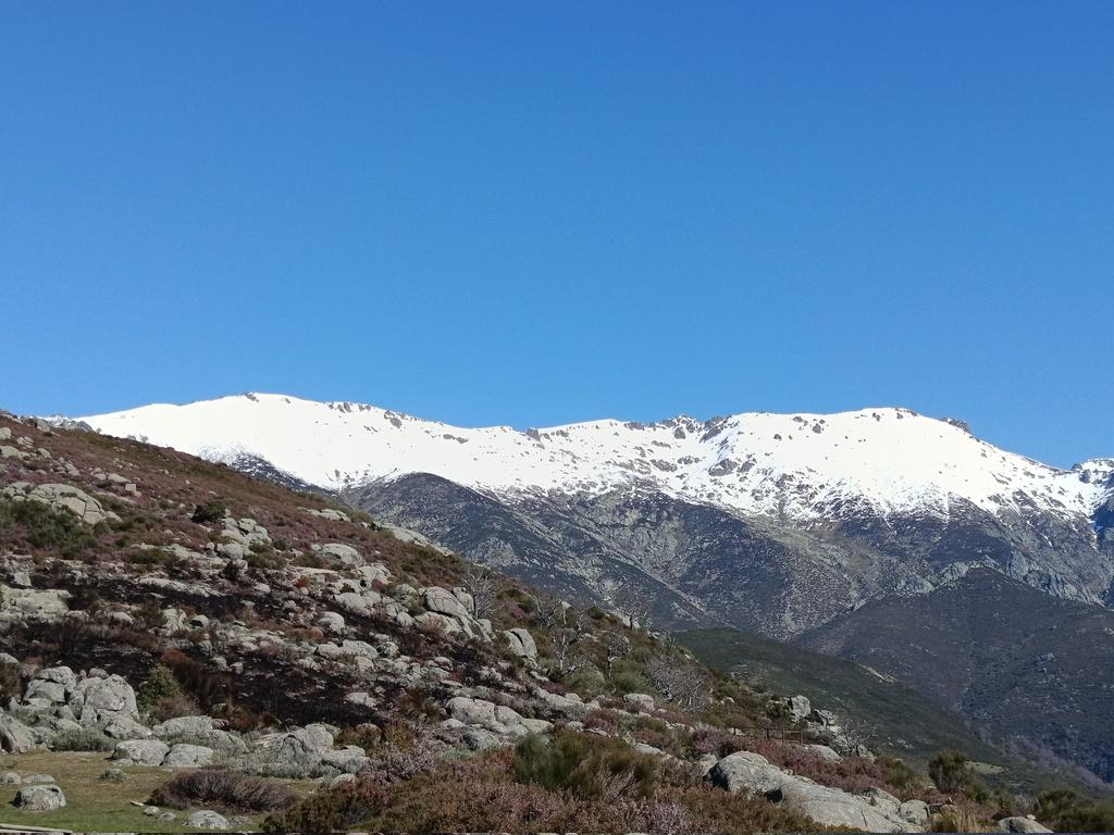BRIF_PINO's tweet photo. Si ves humo en las cercanías del refugio #ElBrezo de #LosardeLavera no te alarmes.
Quema prescrita realizada por @BRIF_PINO, #AC34 y #AR34 de #JaraizdeLaVera, #L27 de #VillanuevadeLaVera, #L25 de #JarandilladeLaVera , #Aguila7 @EPRIF de #Caceres y @AMN https://t.co/DnxFTxoQDz