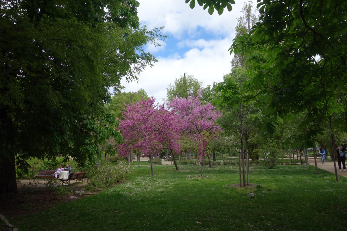 S. Maroto tweet media