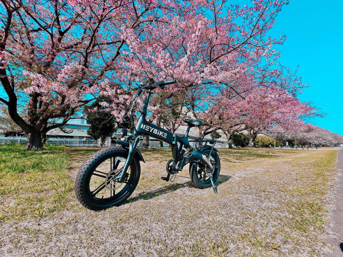 Heybike Japan (@Heybike_JP) / Posts / X