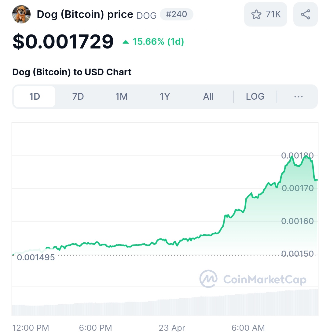 Crypto King👑💎 tweet media