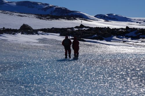 New Study: Plant Remains Embedded In A Modern Glacier Evidence A Warmer Antarctica 1000 Years Ago
more information: nature.com/articles/s4324… 
cnr.it/it/news/13452/…