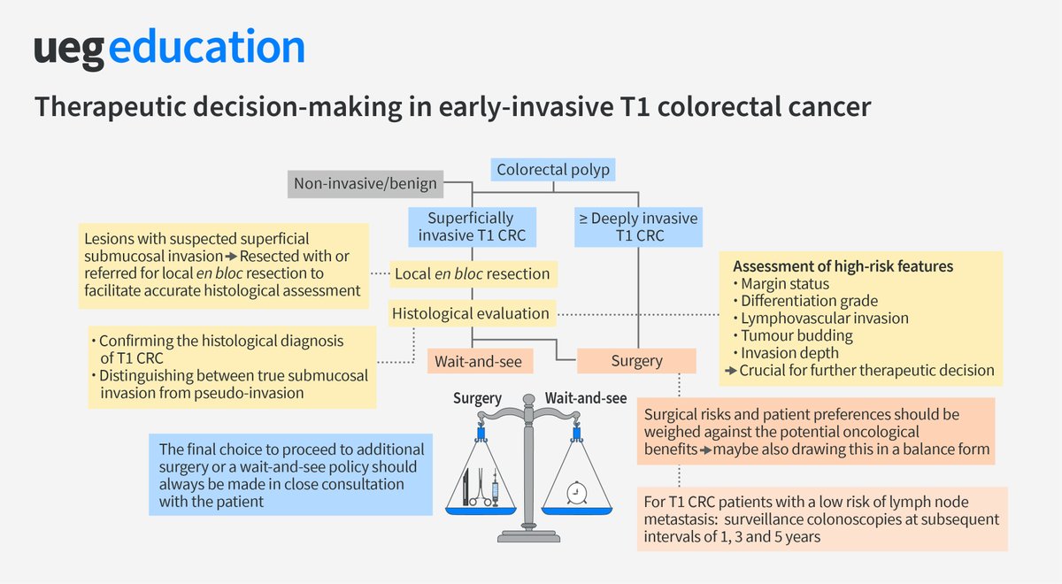 The proportion of patients diagnosed with early invasive CRC is increasing. Challenges can arise in the clinical management of this patient group. Here are the key points of therapeutic decision-making in early invasive T1 CRC.

🔗 Access online course: bit.ly/3EjI54L