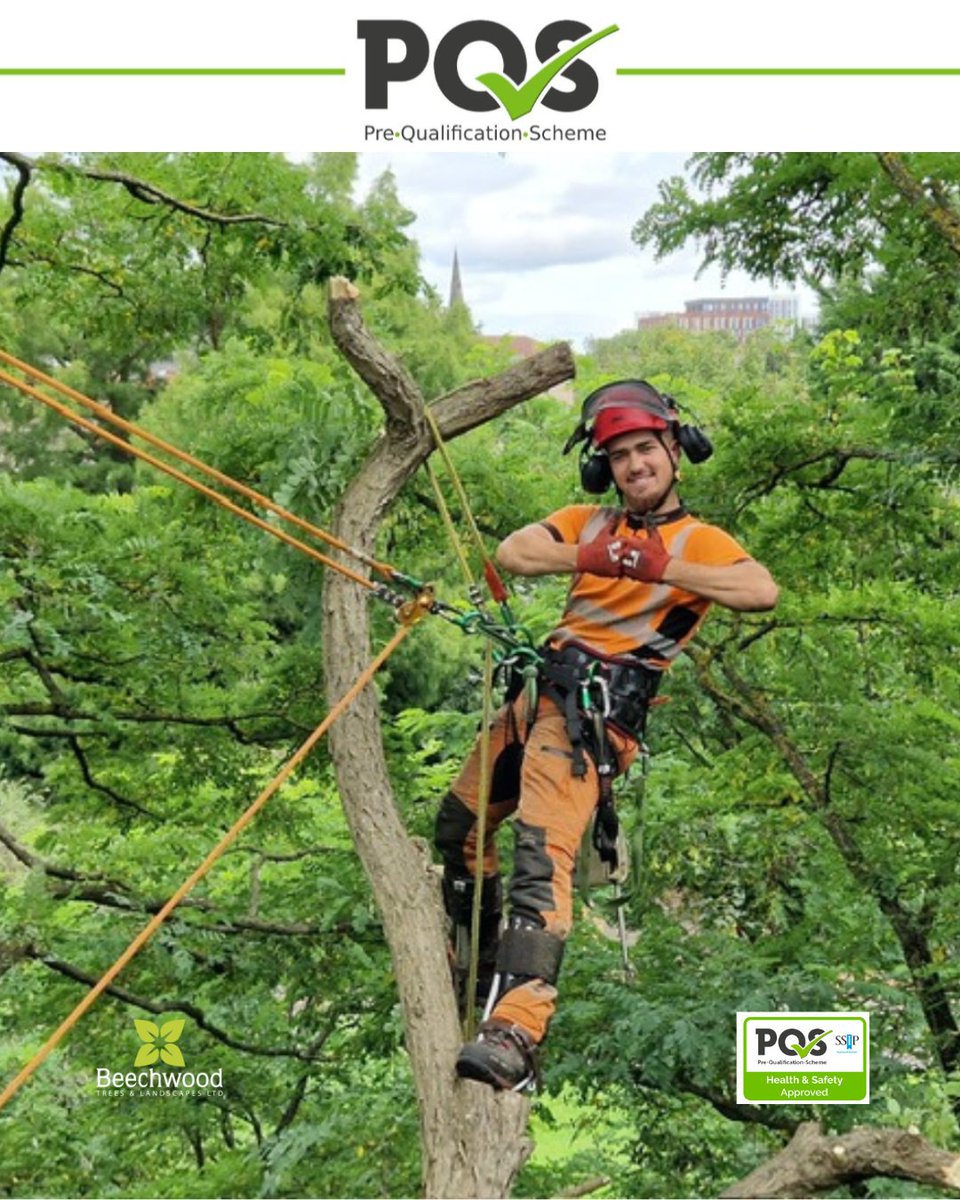 BossBeechwood's tweet image. We’ve officially passed our PQS Health &amp;amp; Safety Approved Assessment! 💪🌳
 Proud to keep raising the bar in safety, quality, and professionalism.

#PQSApproved #TreeSurgery #Landscaping #HealthAndSafety #TeamBeechwood