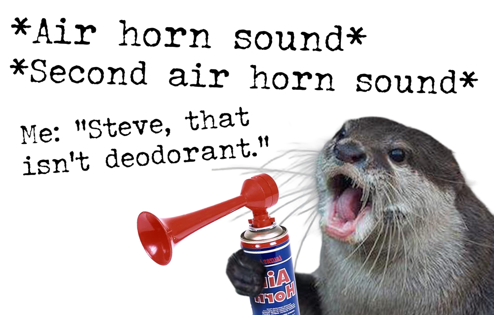 In Otter News.... (@in_otter_news2) on Twitter photo 