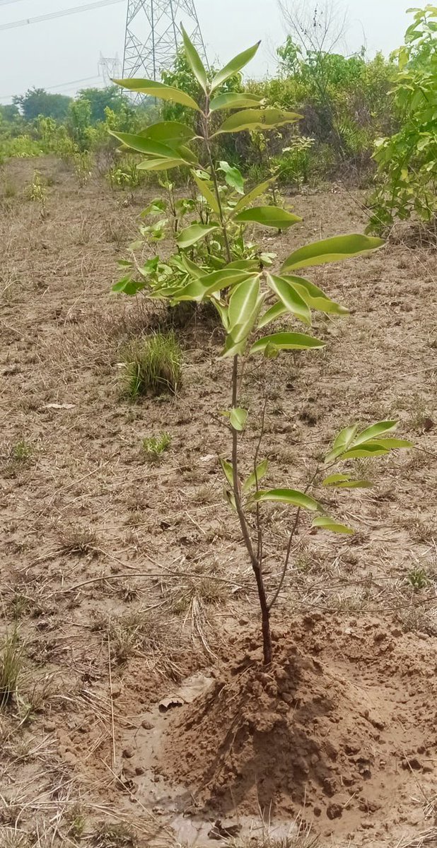 SATHEE PARIVAR tweet media