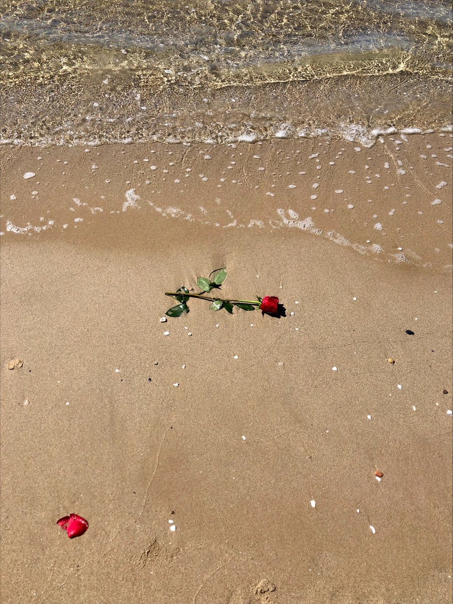 Valença tweet media