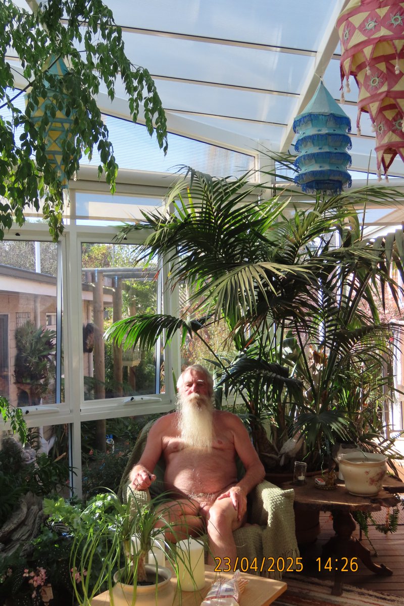 You can always tell when winter is around the corner. The Zygo cactus is in full bloom.