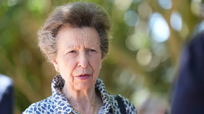 Royal Circular tweet media