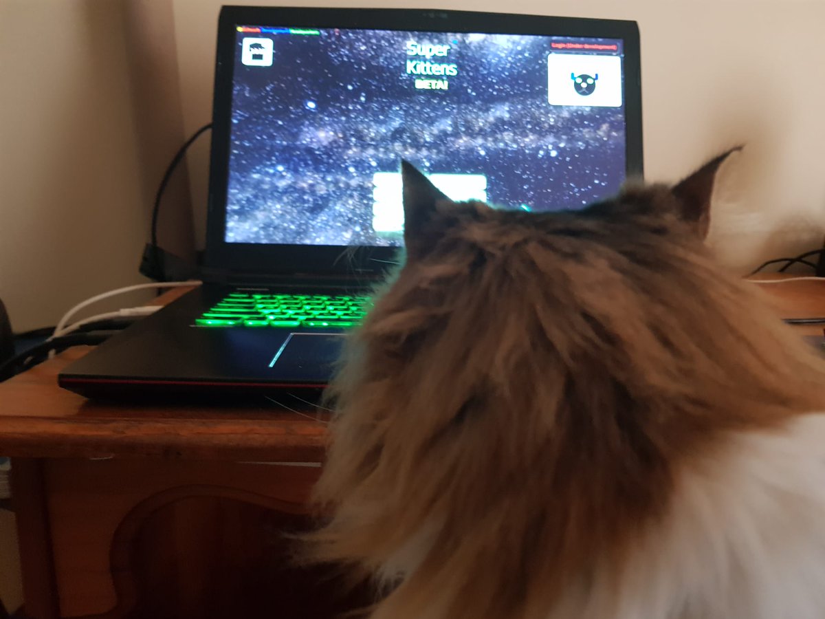 LordMeowSK's tweet photo. Here’s Rolly. Sitting in my chair. Watching Super Kittens.
The game I made for her.
The game I’m now locked out of.
I’m not just asking Unity to fix an account.
I’m asking them to give me back a part of my heart.
#JusticeForRolly #SuperKittens #UnitySucks https://t.co/4MBvddMDJI