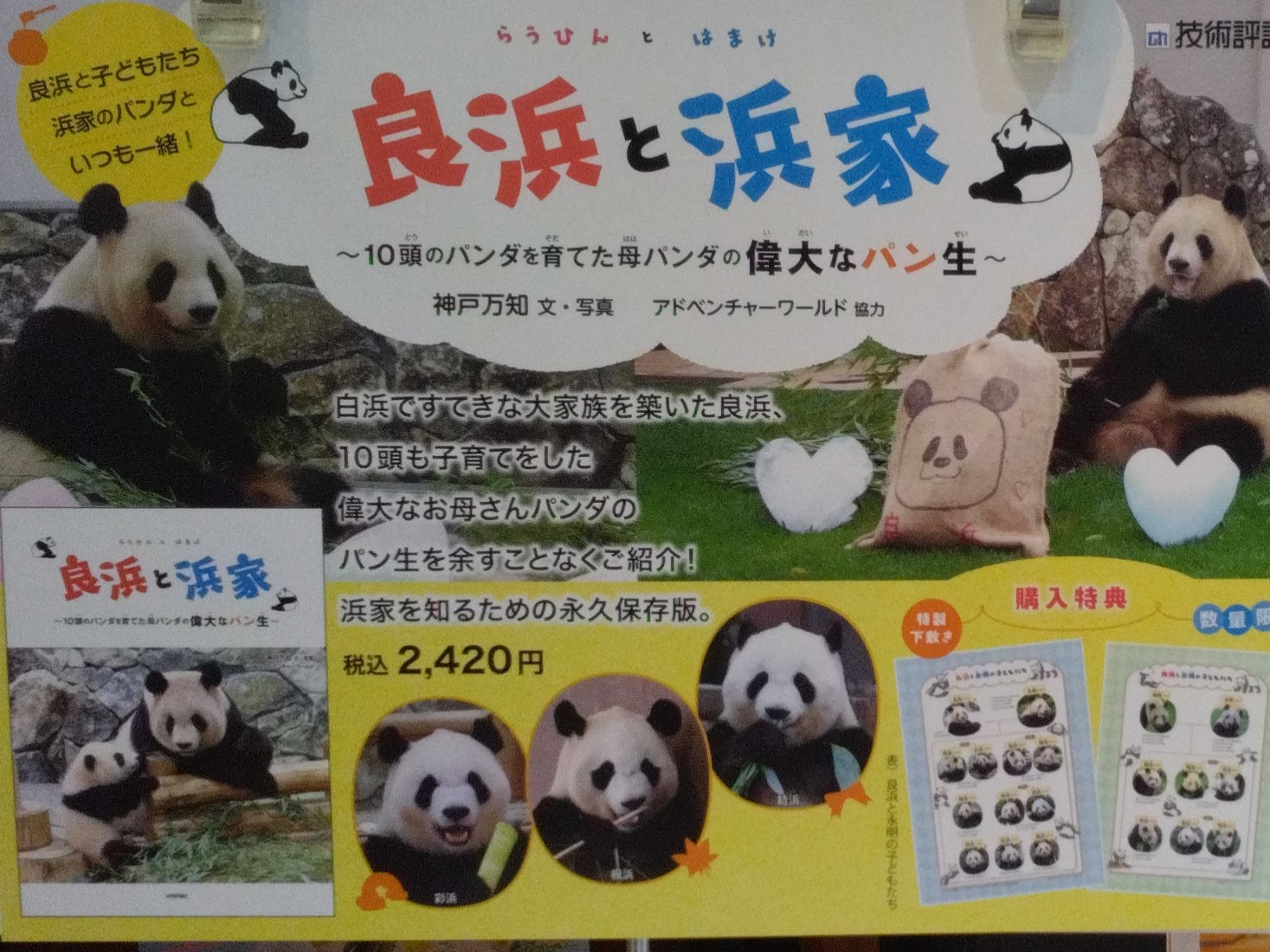 楽天ブックス: 【特典】良浜と浜家 ～10頭のパンダを育てた母