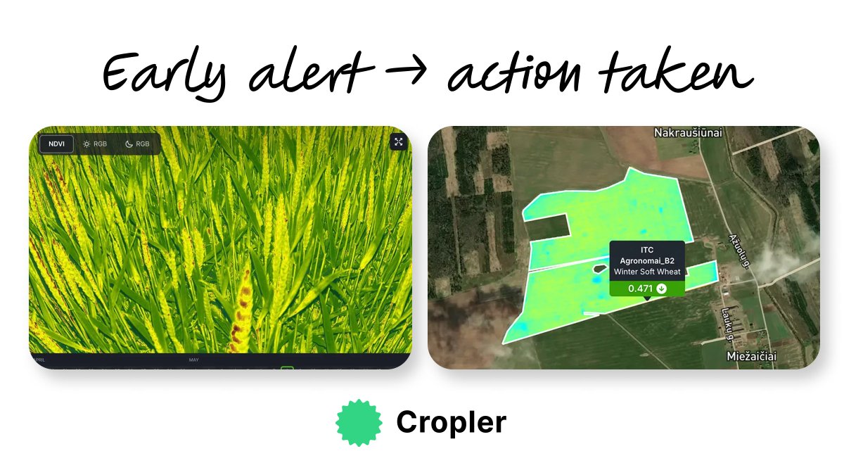 🌱Satellites see fields. Cropler sees problems.
Why leading agronomists combine both:
🔹 Faster detection: Catch stress 7-10 days before satellites
🔹 3x/day monitoring: Daily insights, not weekly snapshots
🔹 Early intervention: Act before yield loss happens

#AgTech #Cropler