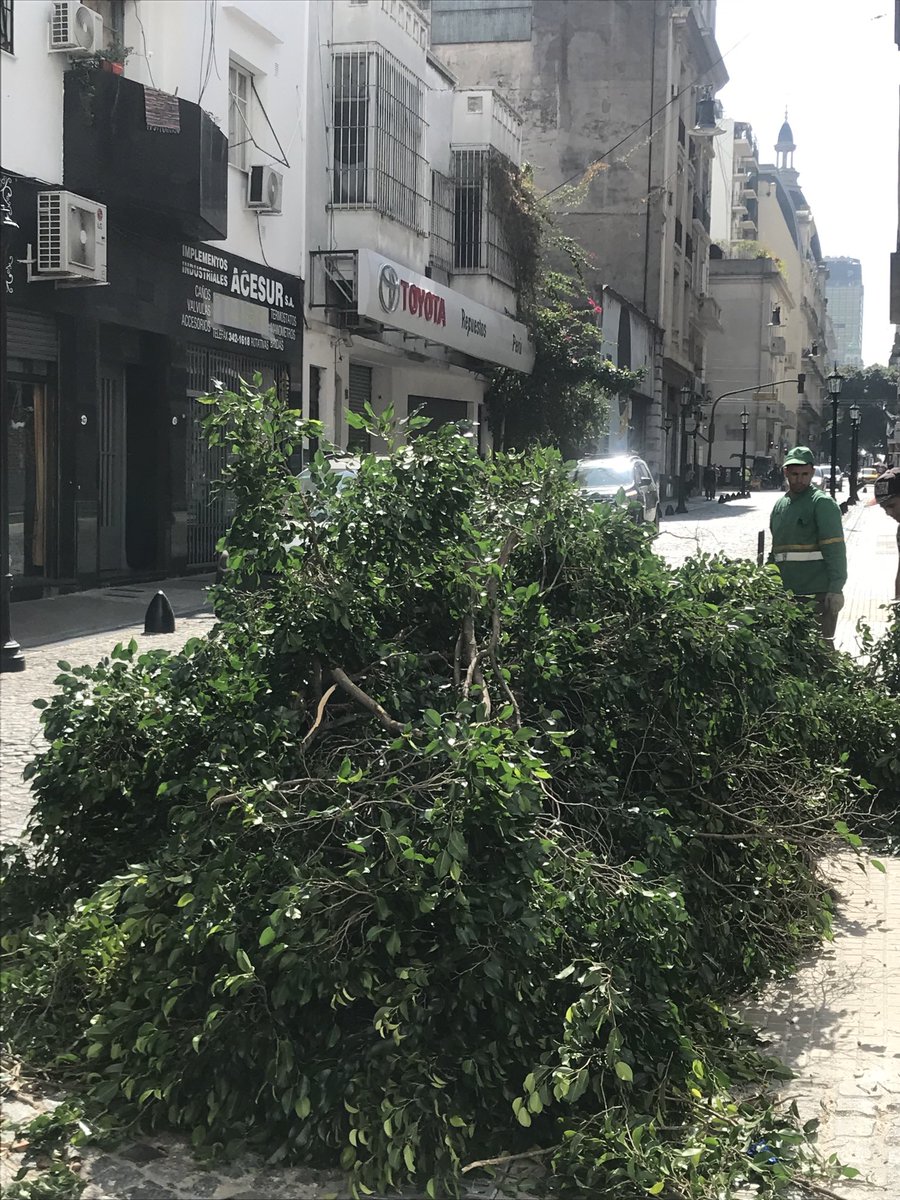 ⁦<a href="/jorgemacri/">Jorge Macri</a>⁩ ⁦<a href="/claramuzzio/">Clara Muzzio</a>⁩ ⁦<a href="/bacomuna1/">Comuna 1</a>⁩ ⁦<a href="/bastademutilar/">Basta de Mutilar Nuestros Árboles</a>⁩ La “plaza”, que hace màs de un año está lista y aún hoy permanece cerrada al público suma una desdicha más…le arrancan los únicos dos árboles medianamente frondosos en pie😡🥵