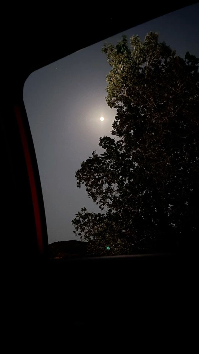 "وتركتُ أُنسي بالحياة ولَهوها
ولقيتُ كل الأُنس في نَجواكَ"