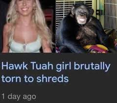 beetleplex43177's tweet image. 