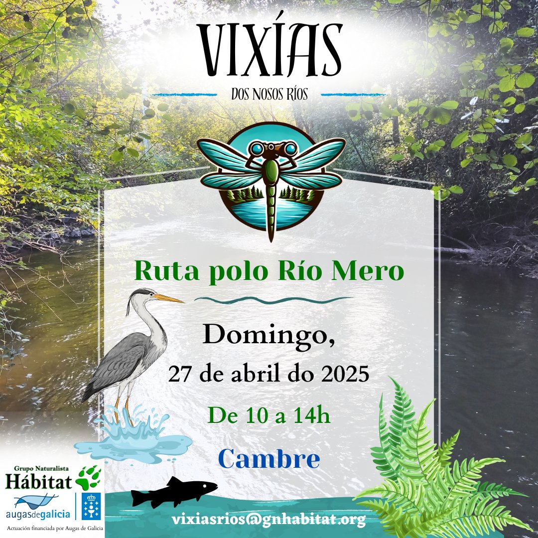 gn_habitat's tweet image. 🌊 Este domingo 27 acompáñanos a coñecer o río Mero, fonte da auga da Coruña!
Falaremos da súa biodiversidade 🌿 e das especies invasoras ⚠️ no marco do proxecto #VixíasRíos.
bit.ly/4jx9Shh
#natureza #voluntariado #Cambre #divulgaciónambiental