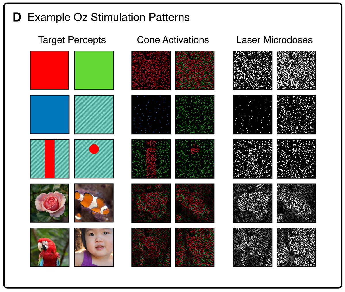 Scientists trick the eye into seeing new color ‘olo’
buff.ly/zuRl4vP #bwfcasi