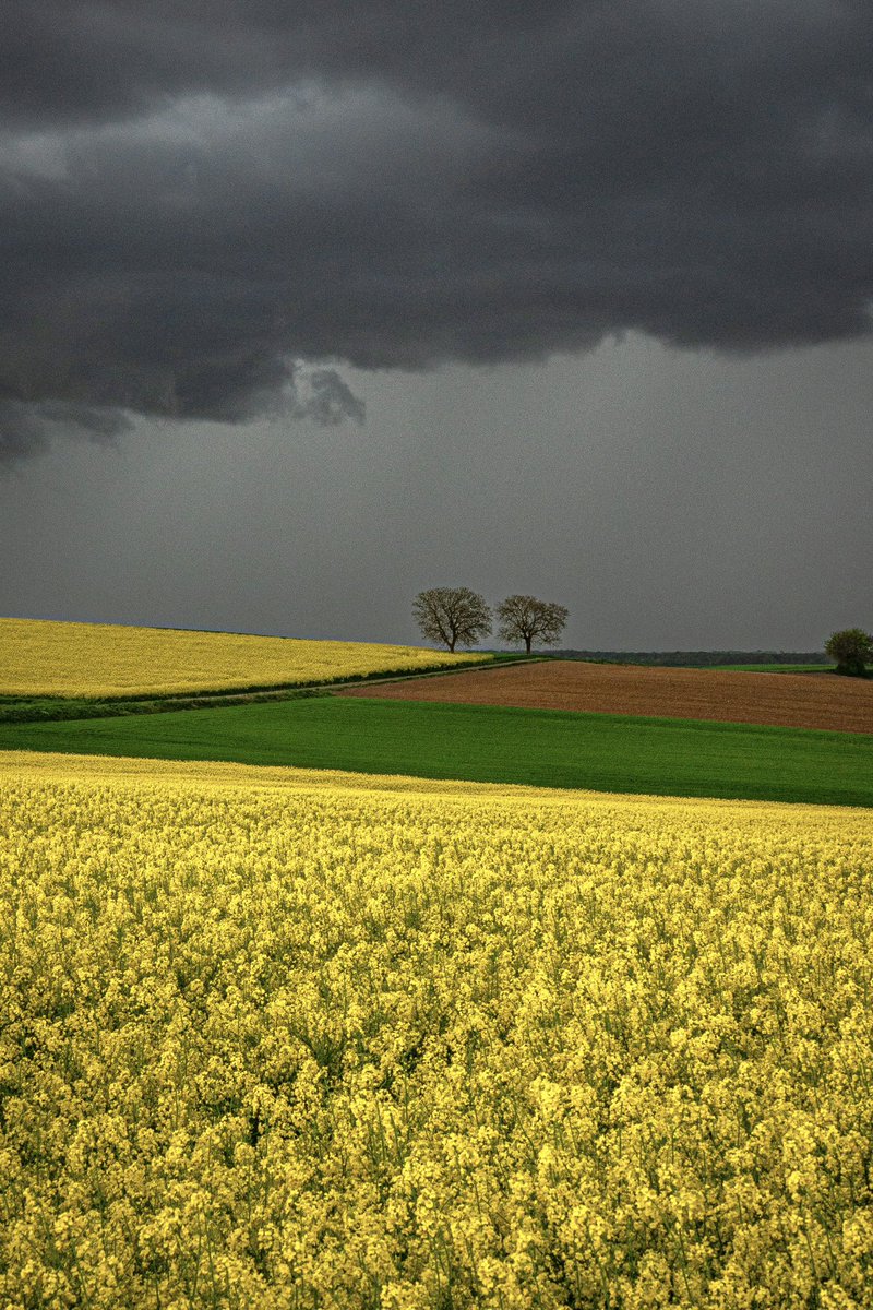 CedricSchell's tweet image. Ambiance orageuse en Alsace.