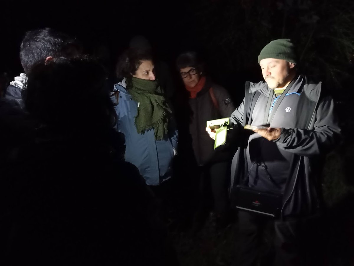 gn_habitat's tweet image. 🦇 Na Noite dos Morcegos con Morcegos de Galicia (16/04) rexistramos 1 pase de Pipistrellus pipistrellus e 4 de Barbastella barbastellus na reserva do Catorce.
🎉 Nova cita para a cuadrícula! Ciencia cidadá, conservación e divulgación nunha soa noite.
#MorcegosDeGalicia