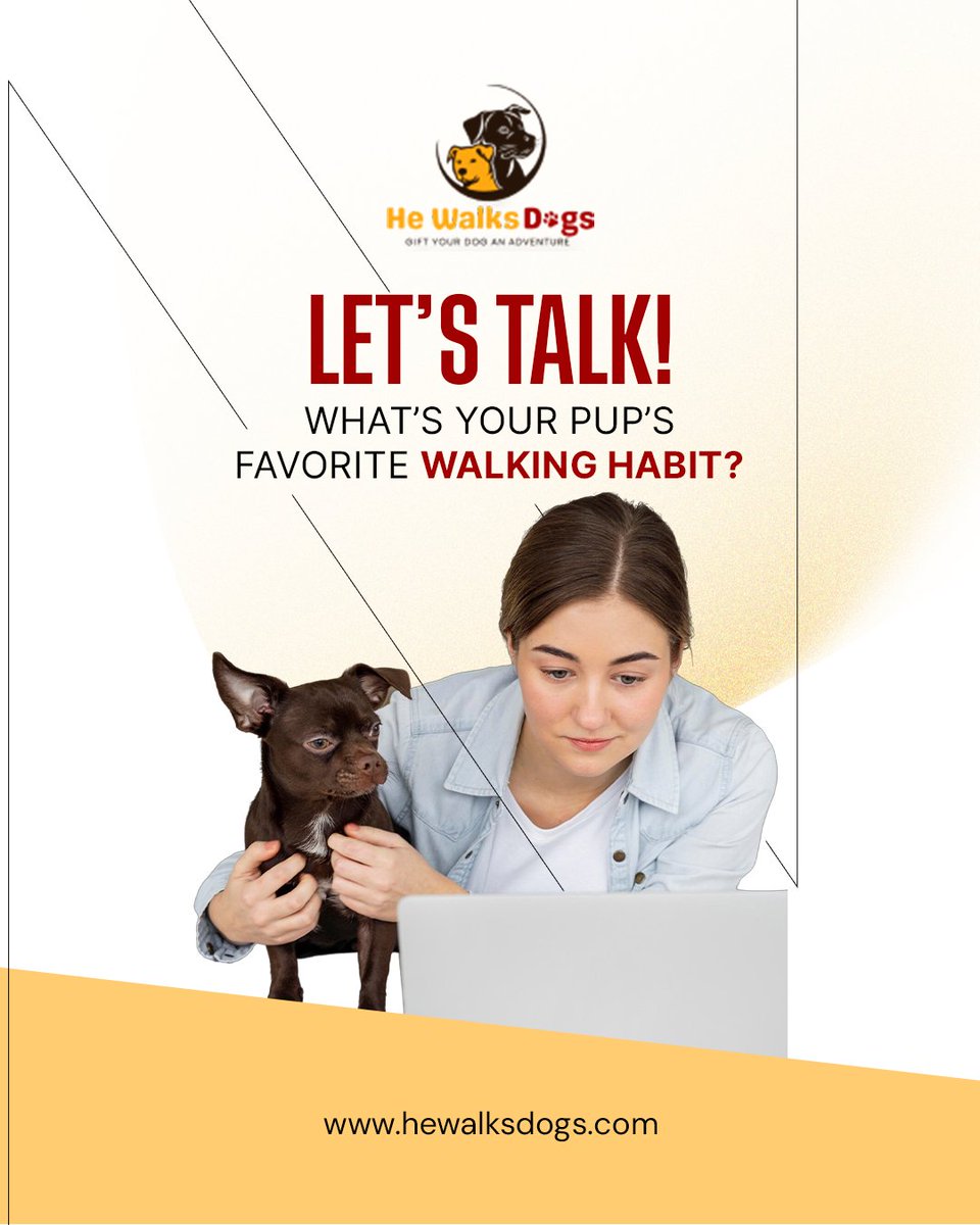 hewalksdogs2024's tweet photo. Let’s talk walks! 🐕
Does your pup sniff every blade of grass, chase squirrels, or bounce with excitement? 🐾
Share their funny habits in the comments! 🐶👇
📅 Need a walking buddy? We’ve got you: https://t.co/CaUZjeE8KH
#DogTalk #PupLife #Walkies #HeWalksDogs https://t.co/MEHk1dVvVI