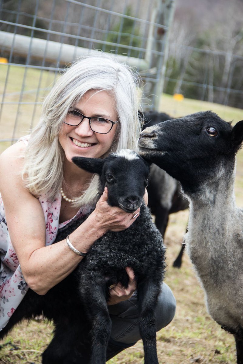 With a little knowledge and basic equipment, raising sheep is totally doable. From "So You Want to Be a Shepherd," by Kim Goodling, Vermont Almanac, Vol. I #Vermont #sheep #shepherd #rural #agriculture #homesteading