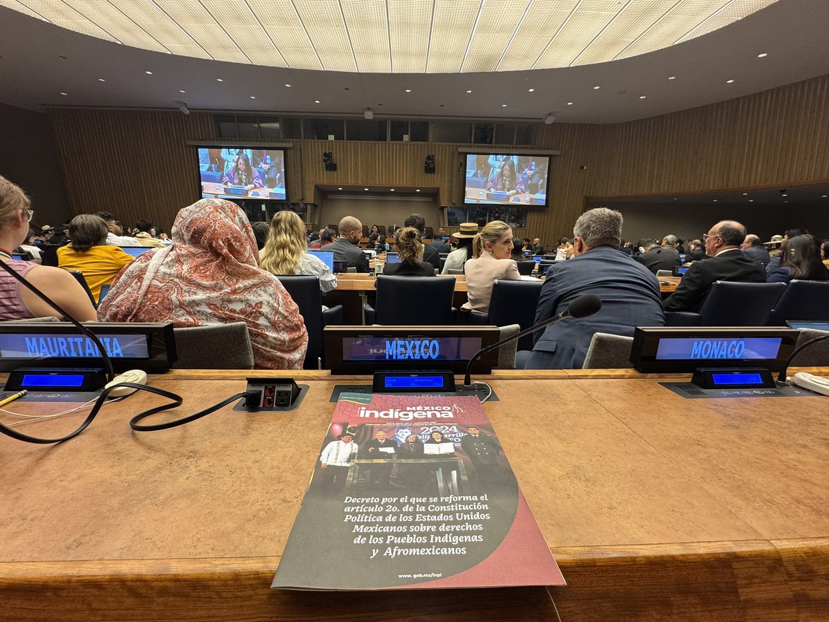 XeewTorres's tweet photo. En nombre del DG @INPI @DEELAYUUK México @MexOnu reitera necesario impulsar un instrumento vinculante para implementar los derechos consagrados en la #DNUDPI  y propone celebrar un seminario global en homenaje del hermano kichwa Raúl Ilaquiche. 

24ª sesión #UNPFII @ONU_es 2025 https://t.co/zuYKXe62l4
