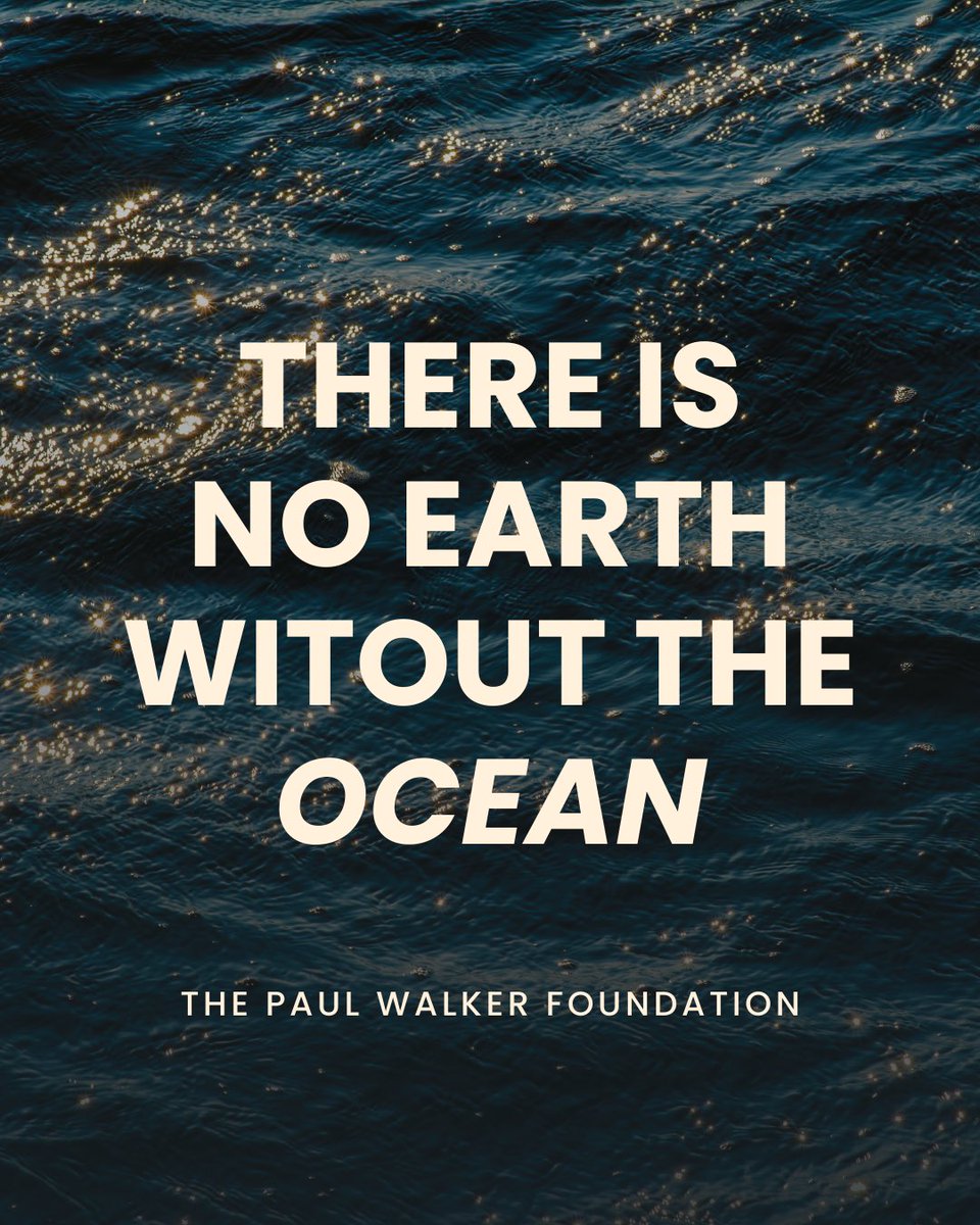 PaulWalkerFoundation tweet media