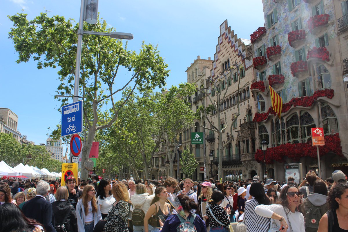 xavpal's tweet photo. Sant Jordi 2025 https://t.co/MEcvEvHO1U