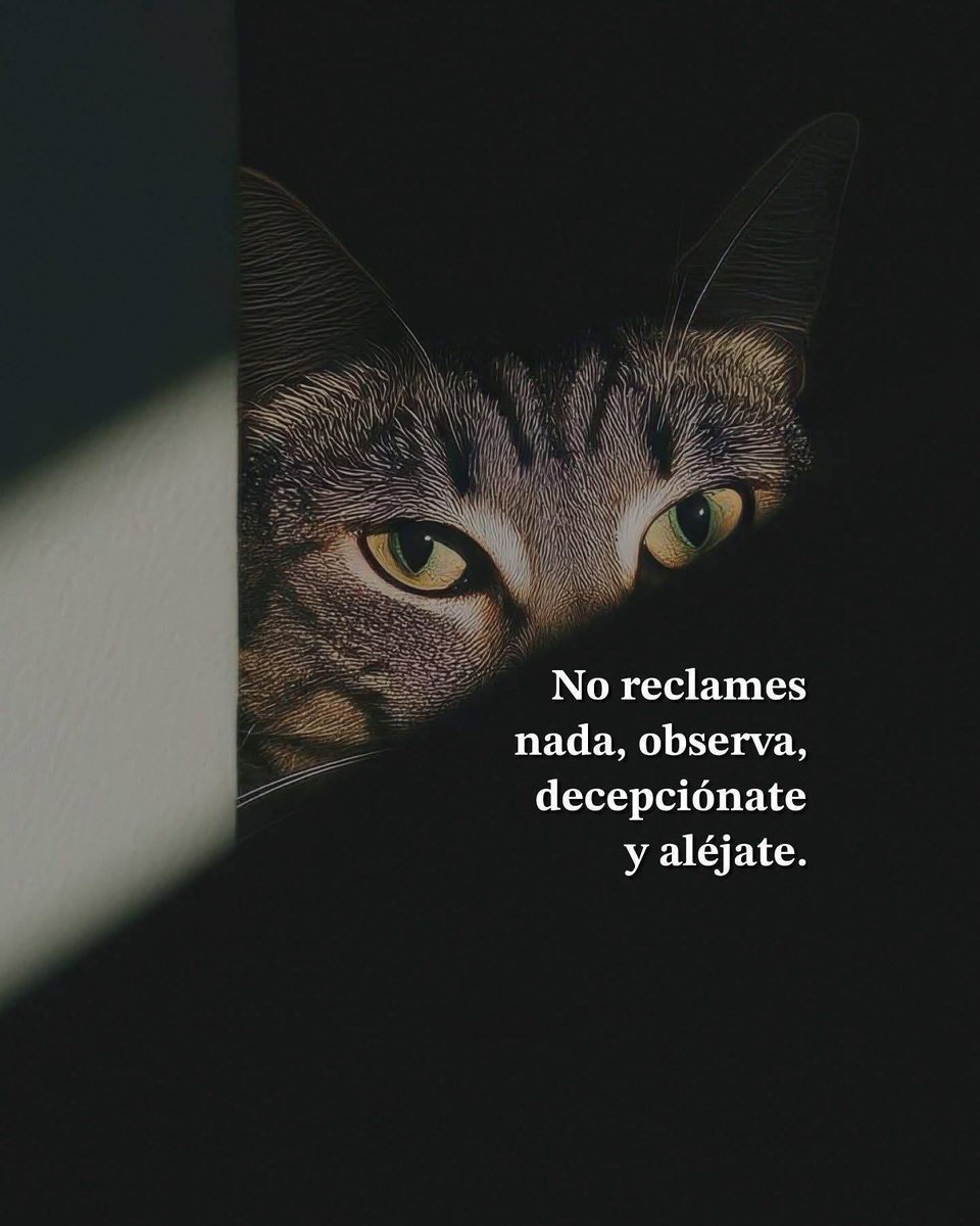 BANDIDOS (@bandidosfrasess) on Twitter photo 