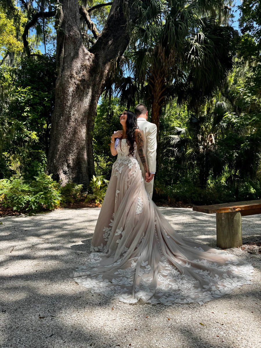 Alexis Furey tweet media