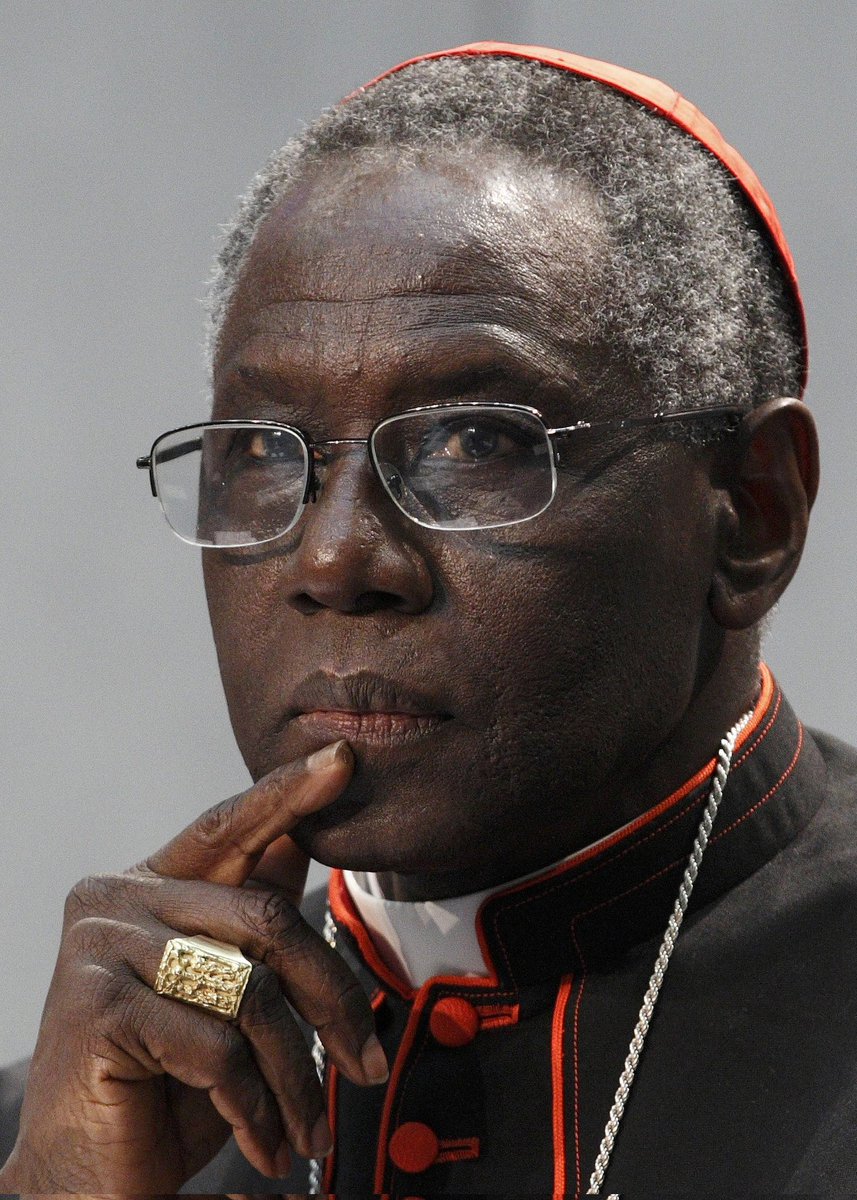 Can cardinal Sarah be pope?
A Thread on who He is and how his ideologies can transform the catholic church
