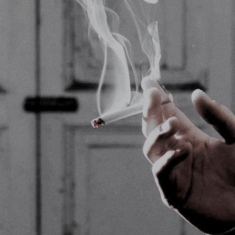 lithium_fluori's tweet image. Мир перевернулся, потому что спустя почти шесть лет молчания, я выложила впроцессник по новому для меня фэндому

Это джегулусы!!!!
Если кому-то будет интересно, вы можете заглянуть 

ао3: archiveofourown.org/works/64831819…

фикбук: ficbook.net/readfic/019621…