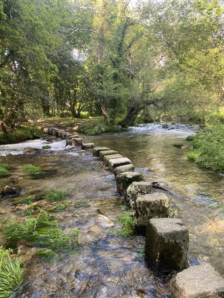 SojeeJs's tweet image. chill