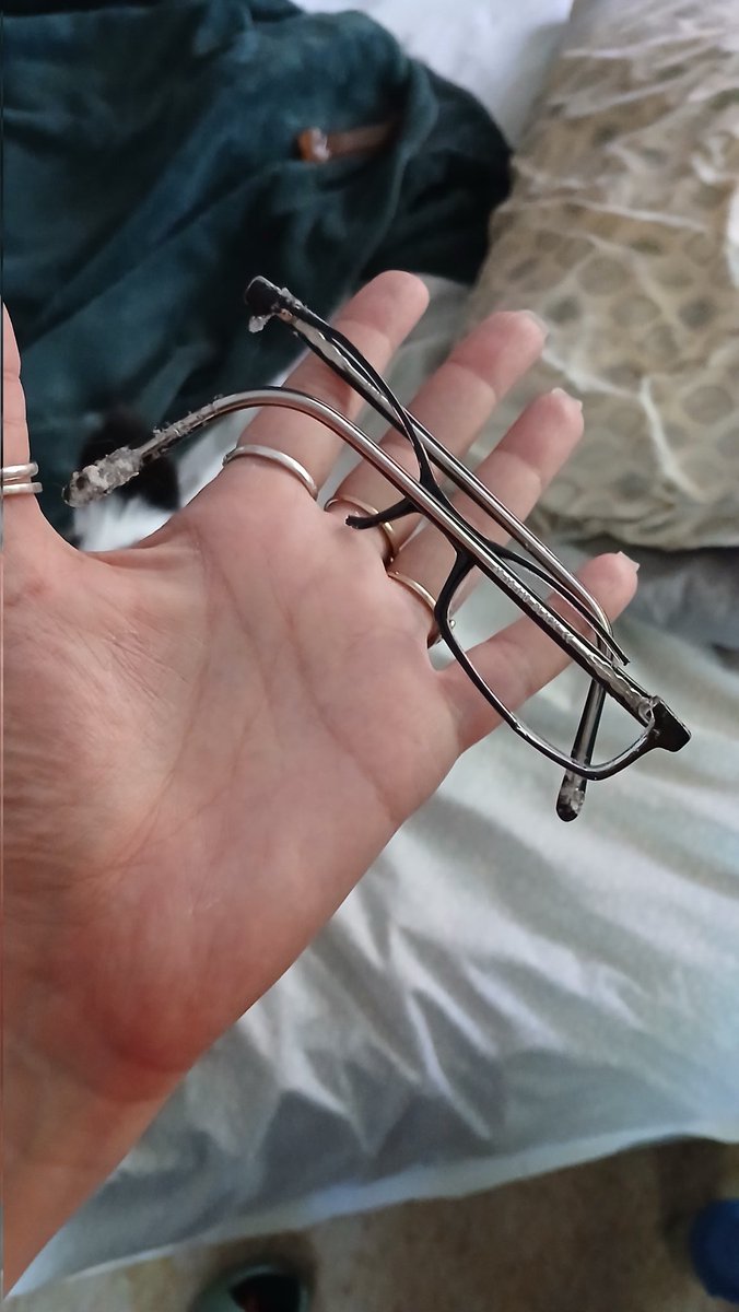 Mommy says it's a good thing I'm really, really cute...

Does she want me to protect her from more scary eyes? 🤔