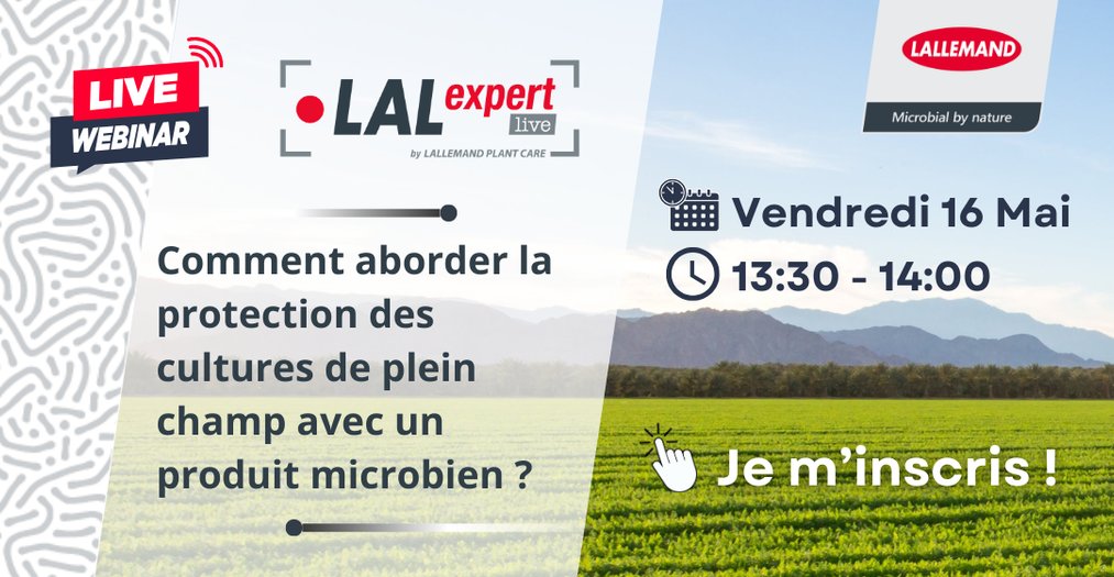 🖥️ Webinaire LALEXPERT | Comment aborder la protection des cultures de plein champ avec un produit microbien  ? 🌱
📅 16 mai – 13h30
🔗 Inscription : events.teams.microsoft.com/event/99930126…

#AgricultureDurable #CulturesDePleinChamp #WebinaireAgricole #Lallemand