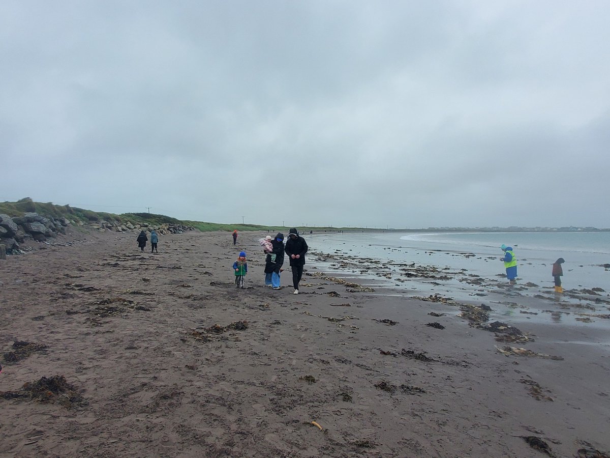 Clean Coasts tweet media