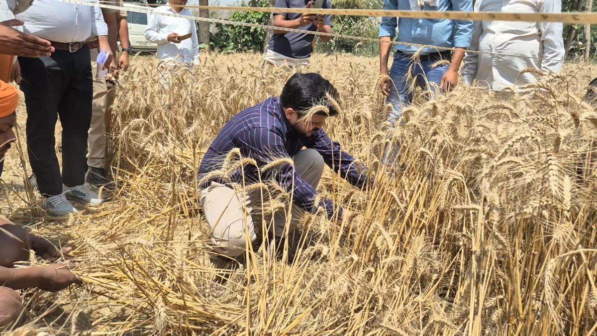 DM Shravasti tweet media