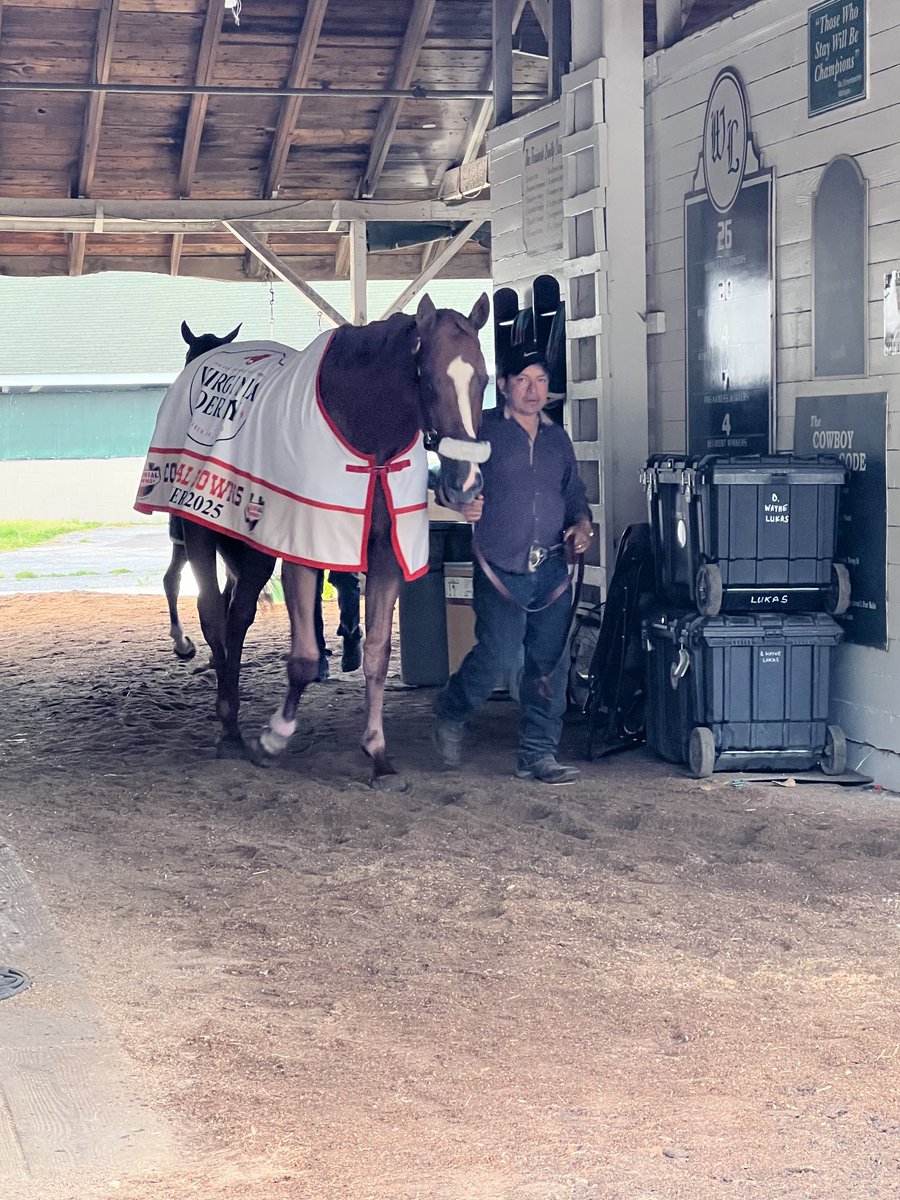 ColonialDowns's tweet image. #VirginiaDerby ⁦@ColonialDowns⁩ hero American Promise displaying his winner’s blanket as he gets his morning walk around the shed row ⁦@ChurchillDowns⁩. #KentuckyDerby151