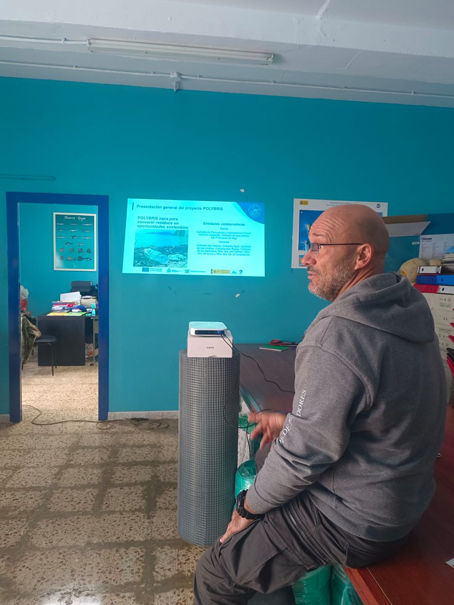 PolybrisPleamar tweet media